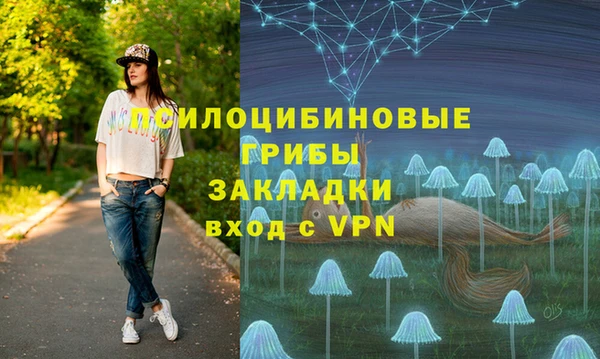 стаф Семикаракорск
