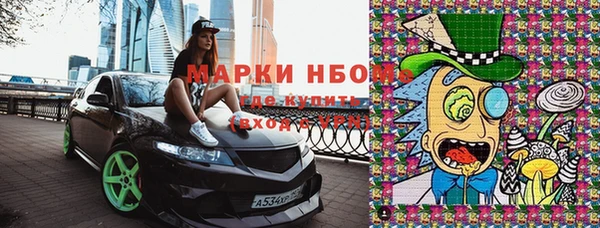 стаф Семикаракорск