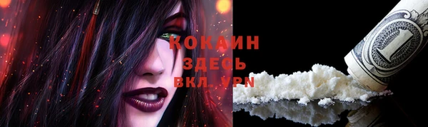 не бодяженный Горно-Алтайск