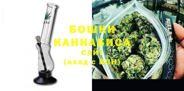 не бодяженный Горно-Алтайск
