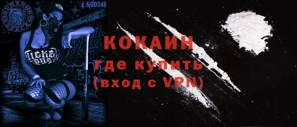 сатива Семилуки