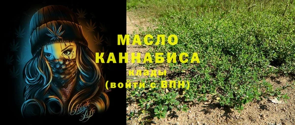молекула духа Горняк